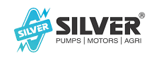 Silver line logo